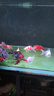 老漁匠增艷魚(yú)缸燈led燈雙燈珠防水三基色紅龍增色燈鸚鵡金魚(yú)錦鯉發(fā)色燈 73cm智能調光　防水定時(shí)【73-90cm缸】 曬單實(shí)拍圖
