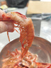 朵芙特大 紅魔蝦 深海捕撈刺身級胭脂魔鬼紅蝦鮮活冷凍生鮮大蝦送禮 【大號】7-9條/盒 400g(凈重) 曬單實(shí)拍圖