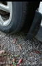 佳通(Giti)汽車輪胎205/55R16 94V  221v1 適配速騰/寶來/朗逸 曬單實拍圖