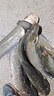 老G鯰魚(yú)瘋小藥專(zhuān)用釣魚(yú)餌料臭魚(yú)餌釣大口鯰添加劑黃顙黃辣丁魚(yú)餌窩料 1瓶裝【免打窩 上鉤快】 曬單實(shí)拍圖