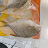 恒興食品 原條金鯧魚2斤 4條裝 BAP認(rèn)證海鮮生鮮深海魚火鍋食材  曬單實拍圖