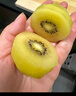 佳沛（zespri）新西蘭陽(yáng)光金果 8個(gè)裝 特大果單果122-146g 中秋水果禮盒 獼猴桃 曬單實(shí)拍圖