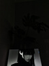 航向者英特爾i5酷睿i7升54核芯/RTX5060/30604060臺式電腦主機DIY組裝電腦全套整機商務(wù)辦公電競直播游戲 電腦主機+顯示器 一：i7級24芯/16G/256G/性能獨顯 曬單實(shí)拍圖