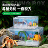BARBAROUS GROWTH爬寵亞克力飼養(yǎng)盒爬蟲守宮寄居蟹箱蜥蜴蛇角蛙蜘蛛蝸牛甲蟲生態(tài)缸 寄居蟹造景套餐 系列一 曬單實(shí)拍圖