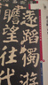 顏真卿書(shū)東方畫(huà)贊(彩色放大本中國著(zhù)名碑帖·第七集) 曬單實(shí)拍圖