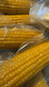 京鮮生東北黃糯玉米棒200g×8根 甜黏玉米 多種包裝隨機發(fā)貨 源頭直發(fā) 曬單實(shí)拍圖