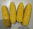 京鮮生云南水果玉米5斤 鮮甜玉米棒 甜脆多汁 新鮮蔬菜 源頭直發(fā)包郵 曬單實(shí)拍圖