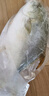 翔泰海南深海金鯧魚(yú)700g 2條 燒烤 火鍋 生鮮魚(yú)類(lèi) BAP認證 海鮮水產(chǎn) 曬單實(shí)拍圖
