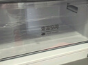 美的（Midea）三門249家用電冰箱小型三開門風冷無霜變頻一級能效多門宿舍租房以舊換新MR-249WTPE【國家補貼】 曬單實拍圖
