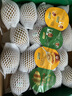 佳沛（zespri）綠奇異果經(jīng)典果16粒禮盒單果約86-103g 水果 獼猴桃 曬單實(shí)拍圖