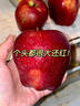 山姆大叔花牛蘋(píng)果甘肅天水蘋(píng)果【閃送】嬰兒蘋(píng)果紅蛇果水果禮盒中秋禮品 【較甜】精品果 | 單果70mm+ 5斤裝【80%選擇-超值推薦】?jì)?.5斤 曬單實(shí)拍圖
