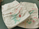 好奇（Huggies）皇家小龍褲紙尿褲M(mǎn)92片(6-11kg)尿不濕【30倍爆吸】 曬單實(shí)拍圖