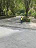 耐力克斯兒童護(hù)膝護(hù)肘護(hù)具套裝運(yùn)動足球打籃球輪滑騎行防摔四件套夏天S號 曬單實(shí)拍圖