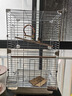 哈駱頓（HALODN）鳥籠鸚鵡專用鳥籠站桿鳥窩籠子虎皮玄鳳八哥鴿子畫眉中大型鳥籠 加高款珍珠白豪華鳥籠7件套 【防腐耐用，雙層可住4-8只】 曬單實拍圖