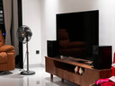 JBL4305P 4329P HiFi音響音箱 復(fù)古監(jiān)聽揚(yáng)聲器播放器 高保真有源發(fā)燒級(jí) 電視書架箱 影音室音響功放 【標(biāo)準(zhǔn)版】JBL4305P一對(duì)(云木白) 曬單實(shí)拍圖