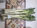 【產(chǎn)地直采】大蔥約450g 曬單實(shí)拍圖