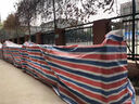 三色彩條布帆布防水防曬加厚防雨布防水篷布塑料遮陽(yáng)花油棚布裝修 65克單面覆膜彩條布 2x3m 曬單實(shí)拍圖