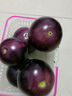 現摘茄子新鮮5斤蔬菜圓茄子新鮮紫茄子紫光茄子蔬菜新鮮整箱包郵 2斤 曬單實(shí)拍圖