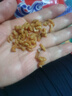 金鉤海米 蝦米蝦仁煲湯炒菜 海產(chǎn)干貨 500g 曬單實(shí)拍圖
