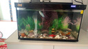 萌嘟星寵魚(yú)缸造景裝飾擺件石拱橋仿真假山樹(shù)脂躲避洞 大號(hào) 曬單實(shí)拍圖