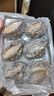 金唐鮮凍大鮑魚(yú)禮盒1kg12只 6頭帶殼鮑魚(yú)肉貝類(lèi)海鮮中秋節送禮 曬單實(shí)拍圖