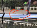 京東汽車(chē)隱形車(chē)衣【部分門(mén)店使用/北上廣深成南部分門(mén)店專(zhuān)屬/詳情咨詢(xún)客服】 曬單實(shí)拍圖