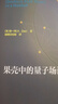 精裝 果殼中的量子場(chǎng)論   徐一鴻著(zhù)   量子科學(xué)出版工程（第二輯）中科大出版社 曬單實(shí)拍圖