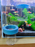 元童孔雀魚(yú)繁殖盒漂浮魚(yú)缸隔離盒小魚(yú)魚(yú)苗孵化盒母魚(yú)產(chǎn)房魚(yú)缸孵化器 藍色【小號套裝】 【漂浮式繁殖隔離盒-高清透亮】 曬單實(shí)拍圖