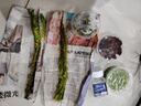 瘋狂水草（FKSC）無(wú)菌杯魚(yú)缸水草造景植物莫斯陰性草缸日本珍珠草魚(yú)缸綠植真水草 日本珍珠草 曬單實(shí)拍圖