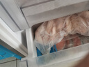 荷裕食品智利冷凍三文魚排3斤禮盒送禮大西洋鮭 非即食 去刺去骨 獨(dú)立分裝 曬單實(shí)拍圖