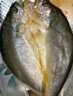 黃小漁寧德黃魚(yú)鲞400g/2條 三去大黃魚(yú)黃花魚(yú)生鮮 海鮮水產(chǎn)燒烤夜宵魚(yú)類(lèi) 曬單實(shí)拍圖