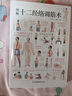 圖解十二經(jīng)絡(luò )調筋術(shù)   動(dòng)作要領(lǐng) 分步指導 從頭到腳理筋防病 打通全身經(jīng)筋血脈 曬單實(shí)拍圖