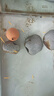 寵小俠小型熱帶魚(yú)斑馬魚(yú)燈科魚(yú)魚(yú)苗活體觀(guān)賞魚(yú)淡水好養耐活寶蓮燈孔雀魚(yú) 今日特惠混色斑馬30條 限時(shí)優(yōu)惠 曬單實(shí)拍圖
