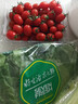 Prize秘魯巨無(wú)霸藍莓125g(22mm) 曬單實(shí)拍圖