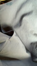 蕉下（beneunder）氣絨服男士秋冬季保暖連帽輕薄夾克外套戶(hù)外CL233巖石灰XL 曬單實(shí)拍圖