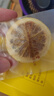 同仁堂北京同仁堂凍干檸檬片蜂蜜新鮮水果花茶富含維生素VC冷泡茶葉100g 曬單實(shí)拍圖