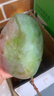 京鮮生 攀枝花凱特芒果 凈重8.5斤 帶箱9斤 單果400g+ 生鮮水果源頭直發(fā) 曬單實(shí)拍圖