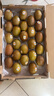 佳沛（zespri）新西蘭  陽(yáng)光金奇異果25-27粒原箱特大果單果約122-146g  獼猴桃 曬單實(shí)拍圖