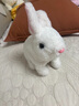 句可兒童電動(dòng)小兔子毛絨玩具小兔子電動(dòng)玩具仿真兔子玩偶會(huì )走路會(huì )叫 小白兔電池版【胡蘿卜+鈴鐺+牽引繩+充電套裝】 偏遠地區不發(fā)貨 曬單實(shí)拍圖