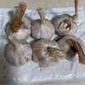 【營田半畝】蒜干蒜頭蒜大蒜紫白皮大蒜當季蔬菜0.5-5斤 250克袋裝【果徑3.5-4.5cm】中果 曬單實拍圖