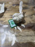 大蒜頭出口品質(zhì)網(wǎng)兜紫蒜蔬菜調(diào)料新鮮大果燒烤火鍋食材 【精品網(wǎng)兜裝】3頭 0.24g 曬單實(shí)拍圖
