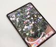 閃魔適用iPad pro鋼化膜2025/24/21/22款air7/6/5/4保護膜11/12.9/13英寸高清抗藍光平板膜 【加強版電鍍雙倍抗指紋】 2022款iPadair5/air4通用 曬單實(shí)拍圖