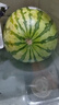 正宗黑籽麒麟西瓜應(yīng)季新鮮水果新鮮現(xiàn)摘沙瓤薄皮麒麟瓜 麒麟西瓜 5-7斤 1枚裝 曬單實(shí)拍圖