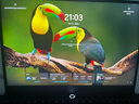 聯(lián)想拯救者Y7000P 2025 游戲筆記本電腦(i7-14650HX 16G 1T RTX5060 2.5K 240Hz 黑)國家補貼20% 曬單實(shí)拍圖