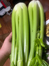 【榨汁西芹】壽光現(xiàn)割農(nóng)家西芹汁多筋少安療榨汁新鮮芹菜去葉發(fā)貨 【凈重3斤】農(nóng)家去葉西芹 曬單實拍圖