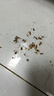 婭洛思蟑螂藥滅蟑呋蟲(chóng)胺膠餌家用廚房小強全窩端室內一窩端除蟑螂屋24枚 曬單實(shí)拍圖