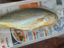 海名威 冷凍寧德三去黃花魚600g/2條 大黃魚 生鮮魚類 海鮮水產(chǎn)  曬單實(shí)拍圖
