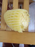 京鮮生 海南欽蜜9號黃金百香果3斤凈重70-90g/15-21個 生鮮水果源頭直發(fā) 曬單實拍圖