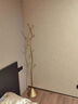 天瓊高端輕奢英國品牌室內落地臥室掛衣架家用客廳展廳網(wǎng)紅衣服架子 輕奢金衣帽架 曬單實(shí)拍圖