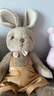 伽百利毛絨玩具公仔溫柔紳士兔兔節日陪伴小朋友生日禮物送女生朋友女友 W3386維爾登背帶褲男兔 43cm 曬單實(shí)拍圖